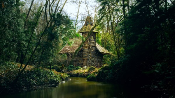 House River Trees Image Wallpaper