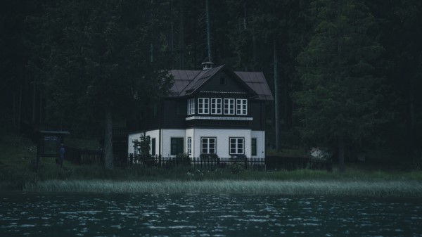 House River Trees Wallpaper