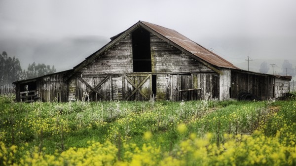 House Shed Thrown Garden Cloud Wallpaper
