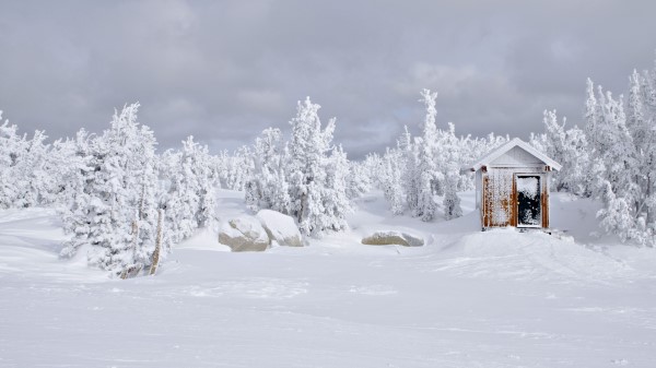 House Snow Trees Wallpaper