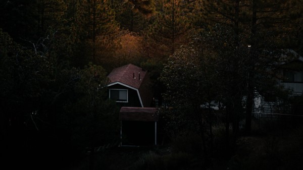 House Trees Aerial View Wallpaper