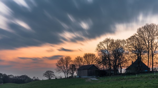 House Trees Sunset Wallpaper