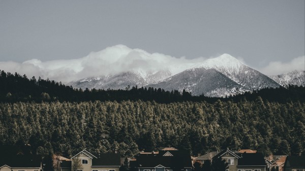 Houses Forest Mountains Wallpaper