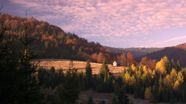 Hut Building Forest Wallpaper