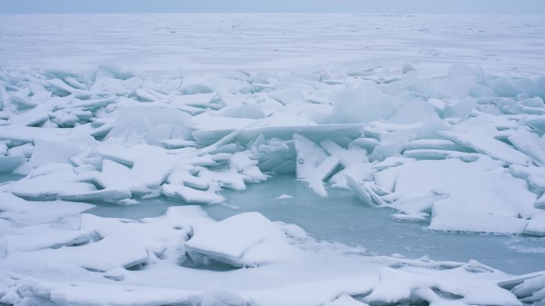 Ice Frost Winter Wallpaper