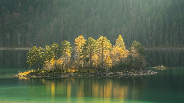 Island Lake Trees Wallpaper