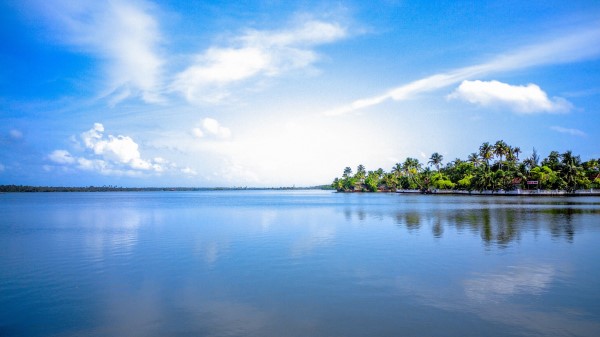 Island Palm Trees Sky Wallpaper
