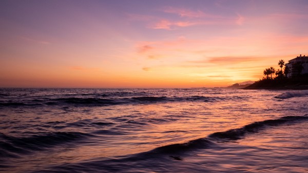 Island Waves Palm Trees Wallpaper