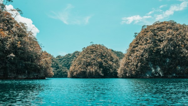 Islands Trees Water Wallpaper