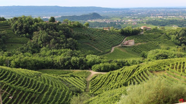 Italy Treviso Landscape Hills Veneto Wallpaper