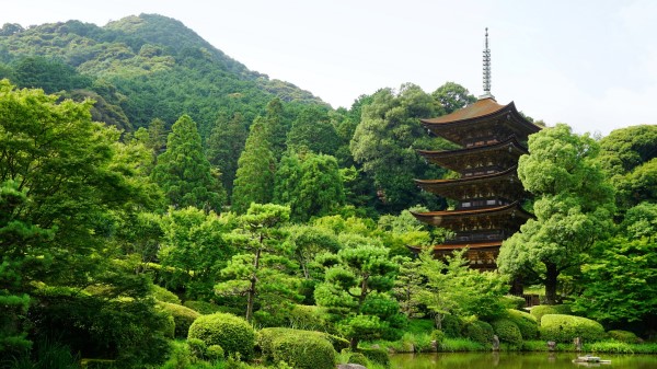 Japan Yamaguchi Pond Trees Wallpaper