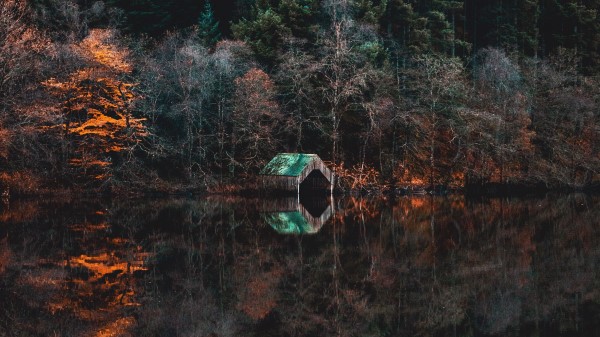 Jetty Abandoned Lake Wallpaper