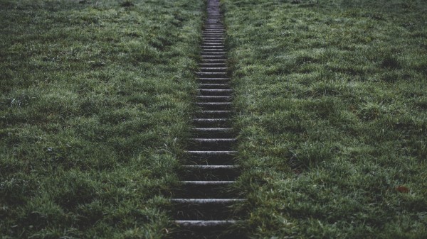 Ladder Grass Rise Wallpaper
