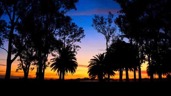 Lagoon Palm Trees Landscape Sunset wallpaper