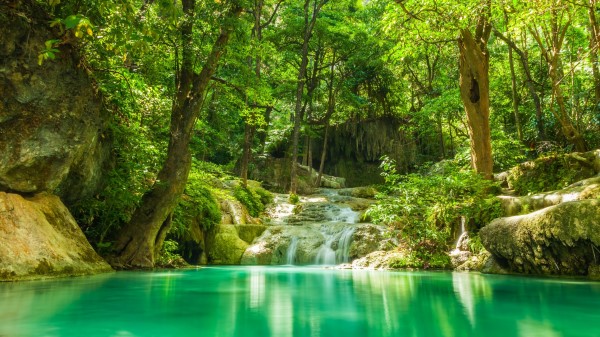 Lake And Water Cascades In Forest Wallpaper