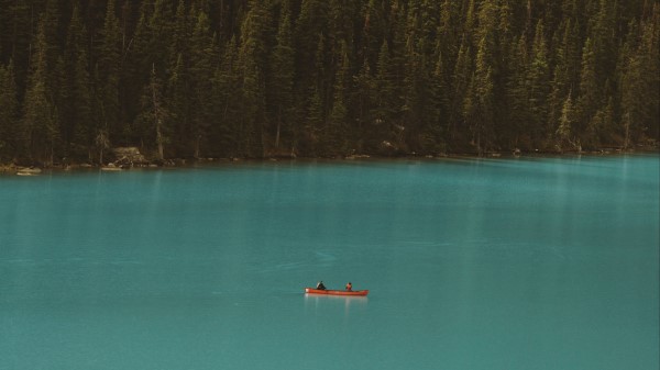Lake Boat Forest Wallpaper