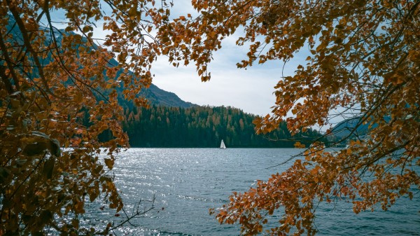 Lake Boat Trees Wallpaper