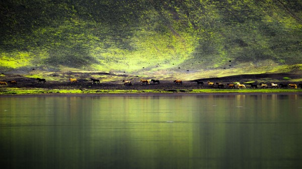 Lake Coast Hill Wallpaper