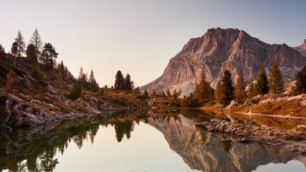 Lake Driftwood Mountains Wallpaper