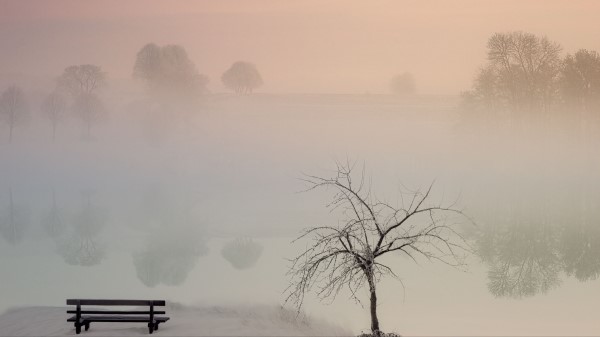 Lake Fog Bench Wallpaper