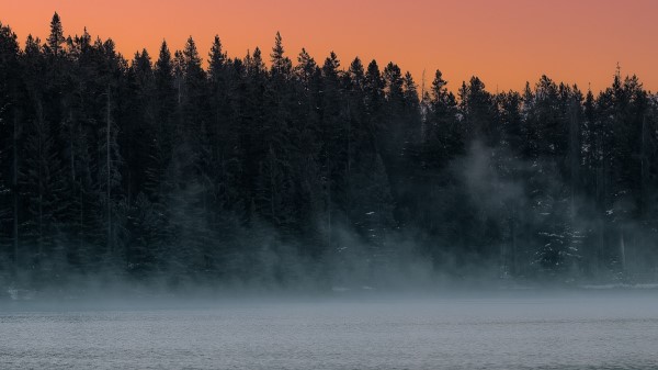 Lake Fog Trees Wallpaper