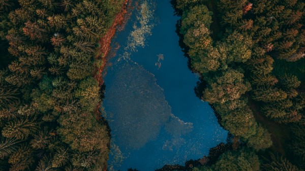 Lake Forest Aerial View Wallpaper