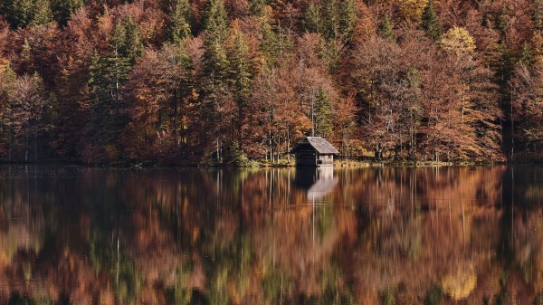 Lake Forest Hut Wallpaper
