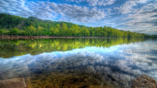 Lake Forest Landscap Wallpaper