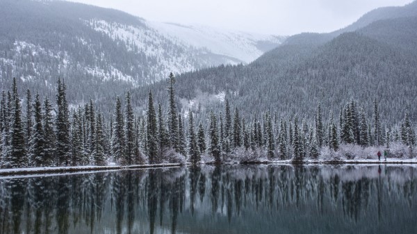 Lake Forest Mountains Photo Wallpaper