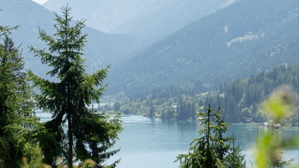 Lake Forest Mountains Wallpaper