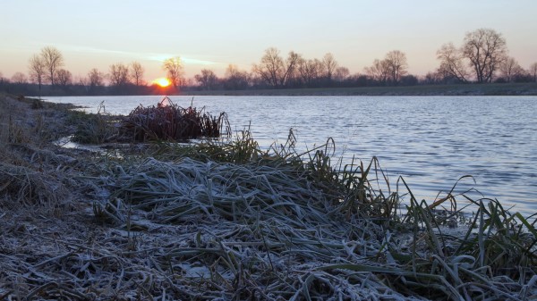 Lake Frost Hoarfrost Grass Dawn Wallpaper