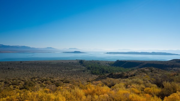 Lake Grass Horizon Wallpaper