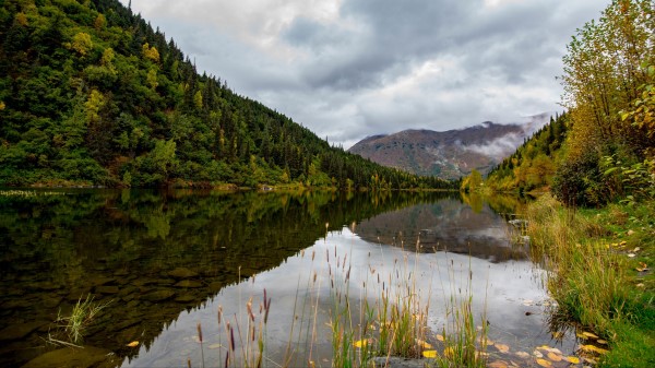 Lake Grass Mountains Wallpaper