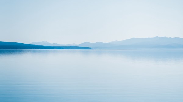 Lake Horizon Trees Wallpaper