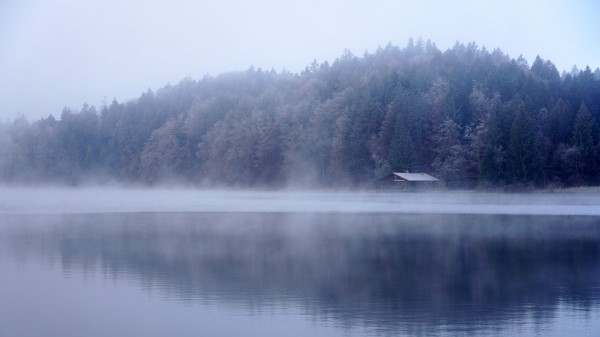 Lake House Forest Wallpaper