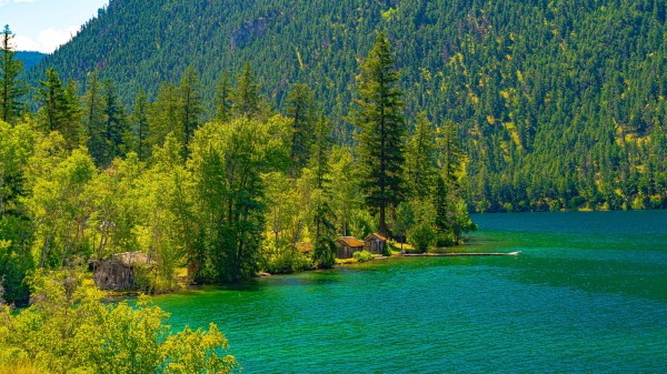 Lake Houses Forest Wallpaper