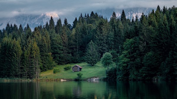 Lake Lawn House Wallpaper