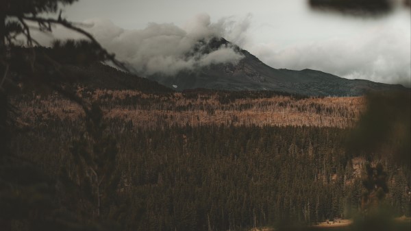 Lake Mountain Fog Wallpaper
