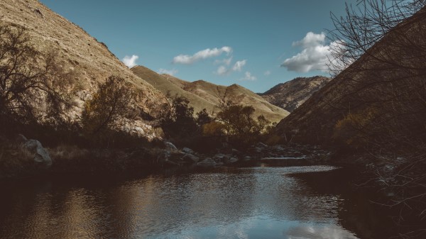 Lake Mountains Branches Wallpaper