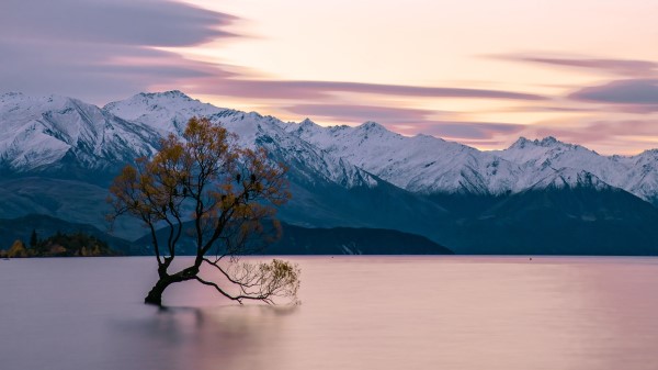 Lake Mountains Tree Wallpaper