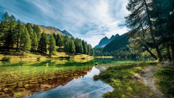 Lake Mountains Trees Pic Wallpaper