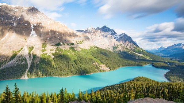 Lake Mountains Trees Picture Wallpaper