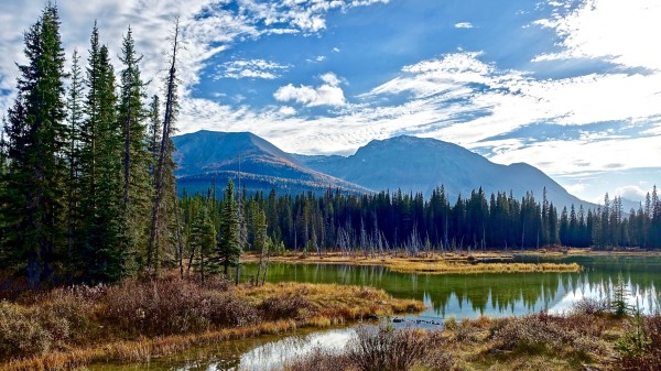 Lake Mountains Trees Wallpaper