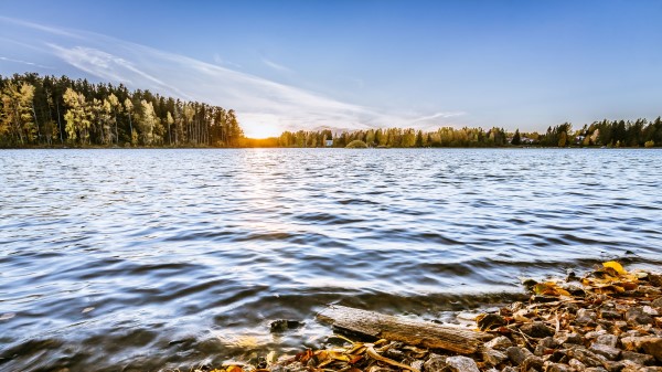 Lake Stones Trees Wallpaper