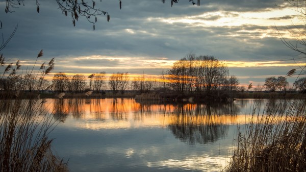 Lake Sunset Grass Reflection Wallpaper
