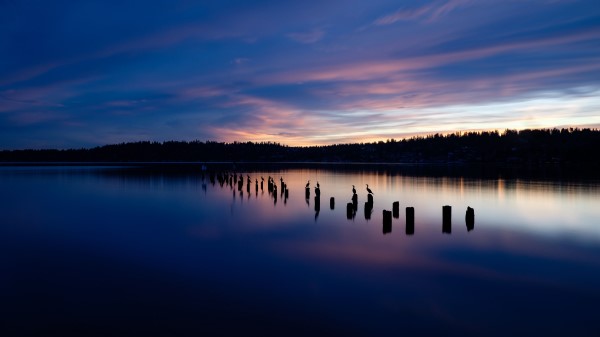 Lake Sunset Silhouettes Wallpaper