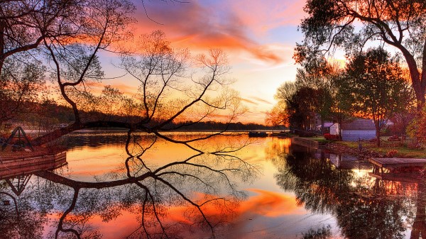 Lake Sunset Trees Landscape Beach Art Night Reflection Wallpaper