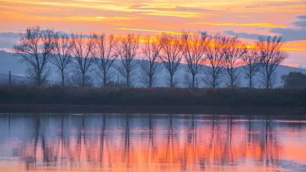 Lake Sunset Trees Reflection Wallpaper