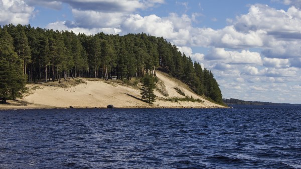 Lake Trees Coast Sky Wallpaper