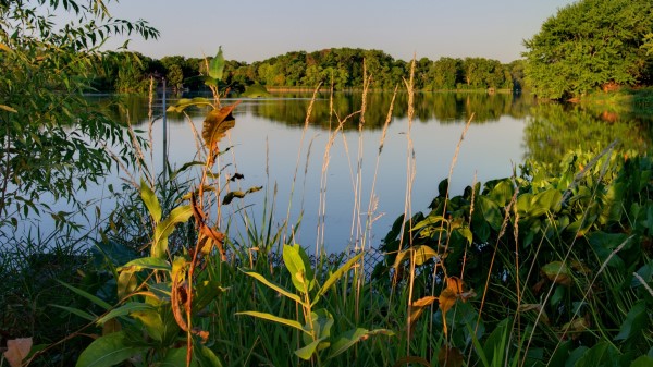 Lake Trees Landscape Wallpaper